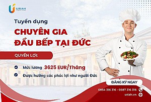 Tuyển Dụng Đầu Bếp Làm Việc Tại Đức – Thu Nhập 3.625 Eur/Tháng!