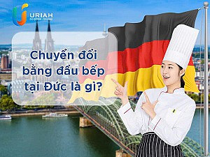 Chuyển đổi bằng đầu bếp tại Đức - Cơ hội làm việc không thể bỏ lỡ